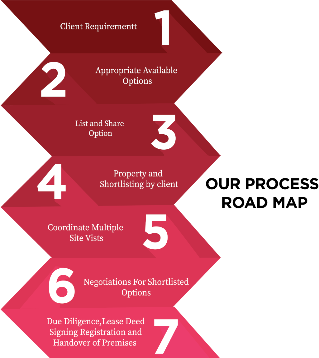 Our Process Roadmap